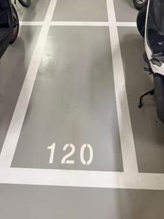 縮圖 16